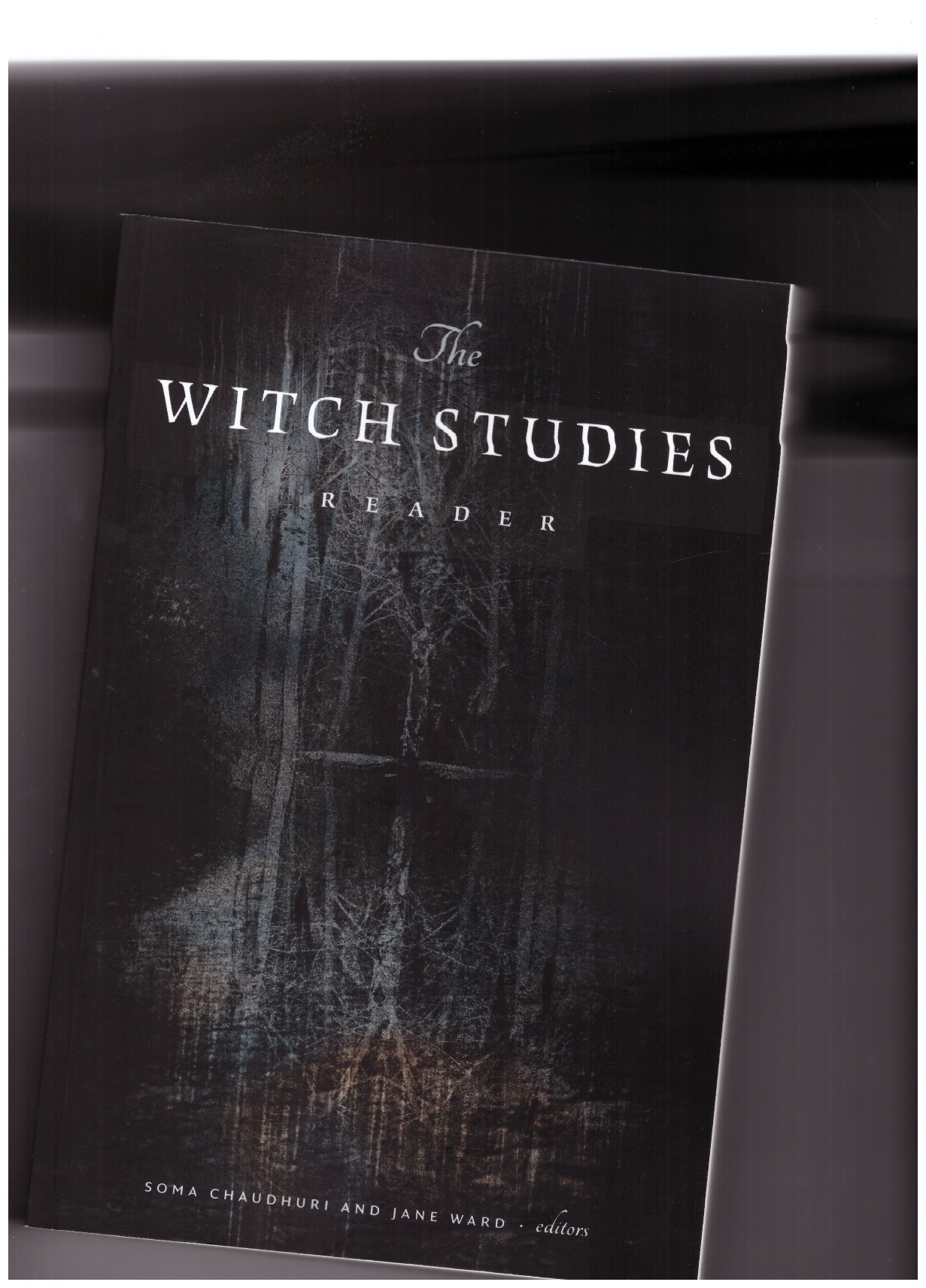 CHAUDHURI, Soma; WARD, Jane (eds.) - The Witch Studies Reader